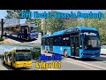 Autobuze Electrice BYD în Constanța Maz 103 107 BYD Electric Buses In Constanța Maz 103 107