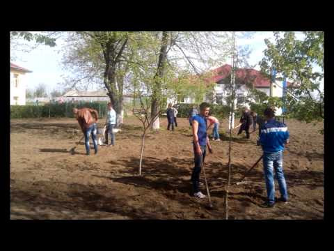 Proiect scolar Cujmir