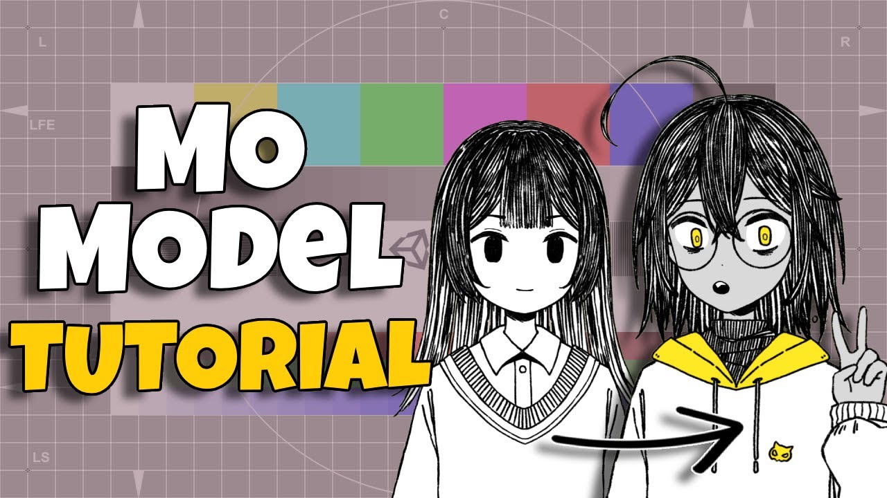 MO Model Set up and Tutorial