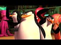 Les Pingouins VS Gang De Pieuvres Course Poursuite à Venise Les Pingouins De Madagascar