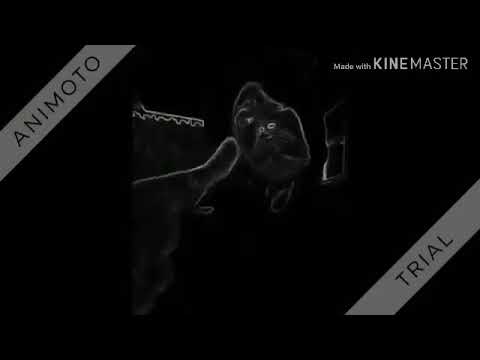 Marso- tashak rabota