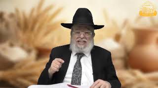 דף היומי בחצי שעה – מסכת מנחות דף ק’ג