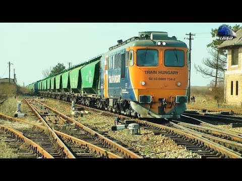 LDE2100 60-0734-7 & Marfar GFR Freight Train in Gara Episcopia Bihor Station - 18 March 2020