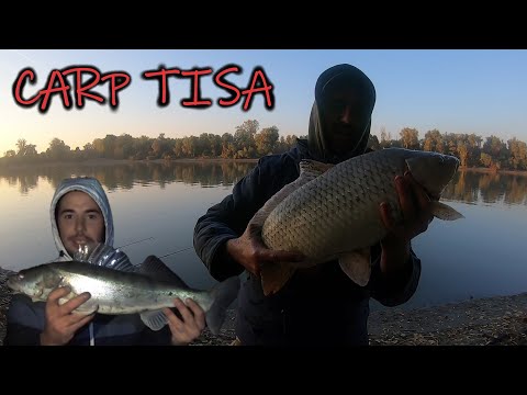 24h na PECANJU - Šta smo to imali ?