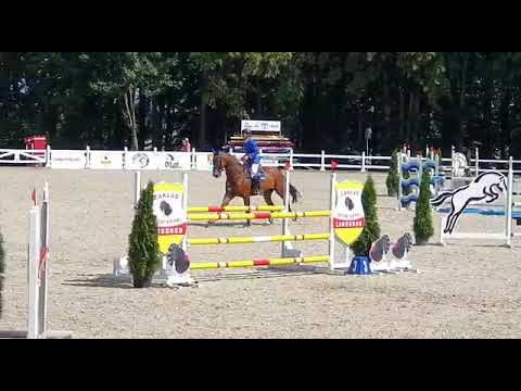 Coldwater (Carambole x Colandro) 2019/08/11 ZO-B Biskupiec - 120cm I SPRZEDANY / SOLD