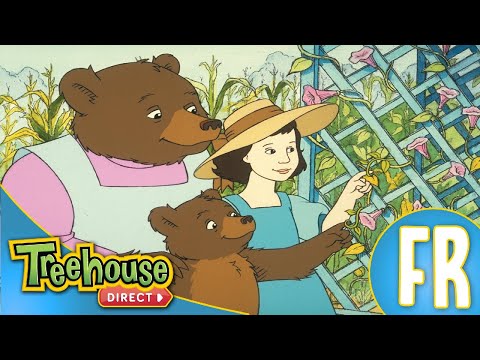 Petit Ours: LA COLLECTION - Ep.37