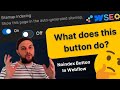 Sitemap Indexing Button in Webflow - what does it do?