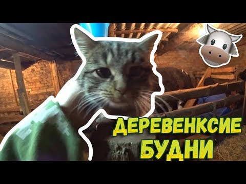 👉Немного новостей // Будни деревенские // Ужин