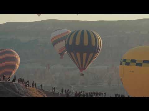 Eryon Stocker - Resilience