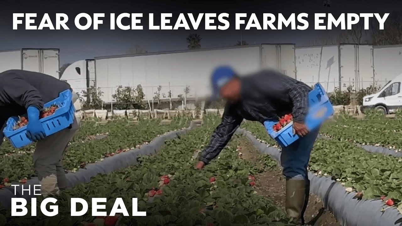 Who will pick our crops? | The Big Deal