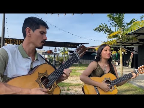 Gorrión de nido ajeno - Hermanos Bermúdez