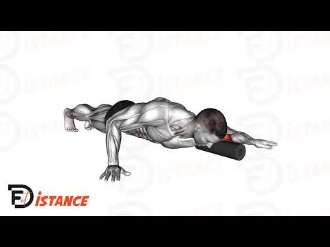 Exercice Foam roller sur le biceps