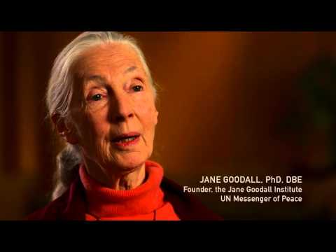 Racing Extinction with Dr. Jane Goodall
