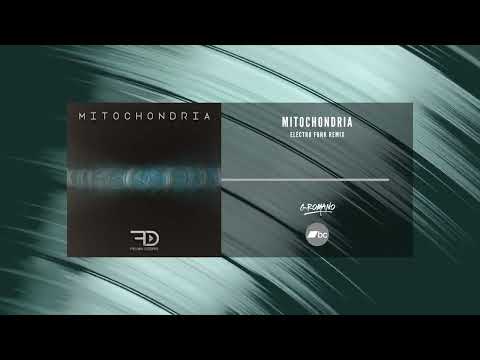 Frank Debris "Mitochondria" [G Romano Remix]