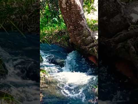 Maravilhas de nossa região cachoeira do  Avazante