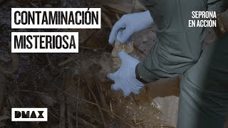 Thumbnail del capítulo