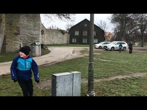 Stormen Alfrida på Gotland 20190102