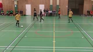 preview picture of video '20131130 Futsal DM herrar, Åkarps IF - Malmö City Futsal Club, 0-2'
