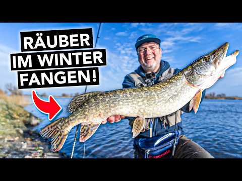 Hecht, Zander & Barsch im Winter fangen 🎣 Angeln leicht gemacht!