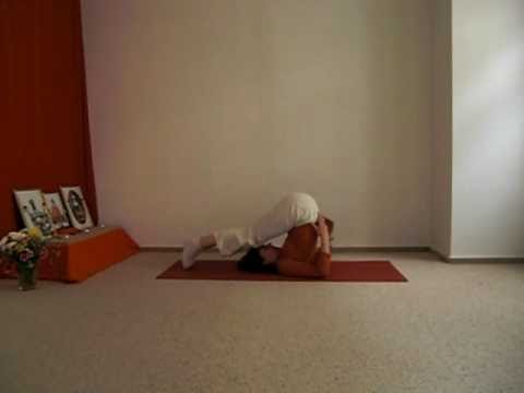 Pflug und Schulterstand im Prana Yoga Zentrum Dresden