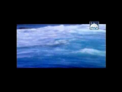 Vrijednost izgovaranja SubhanAllahi ve bi Hamdihi