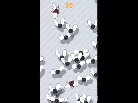 Tappy Flies Video