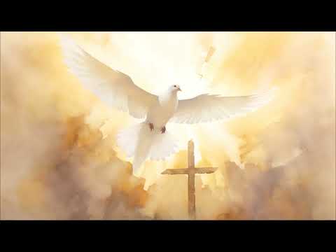 Laat het huis gevuld zijn - Opwekking 623