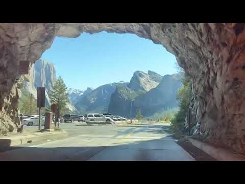 Yosemite Valley Team Bonding Trip