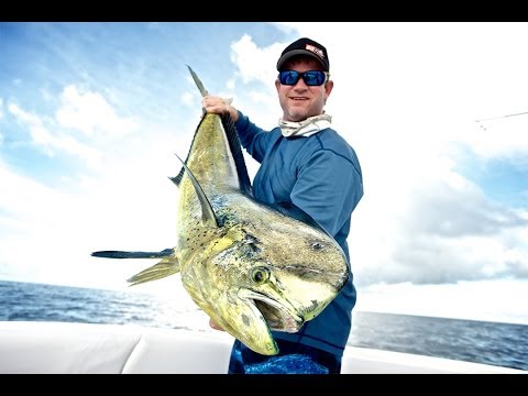 Mahi Mahi Hunting - Islas Secas, Panama