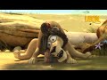 Magnetized Leon The Lion 60 Compilation Crazy Animals
