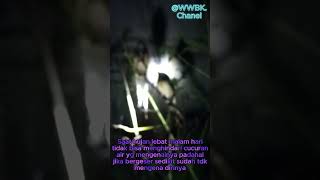 Download lagu Fakta unik Murai Batu didalam penangkaran saat hujan malam hari #youtube #tranding #viral #budidaya mp3