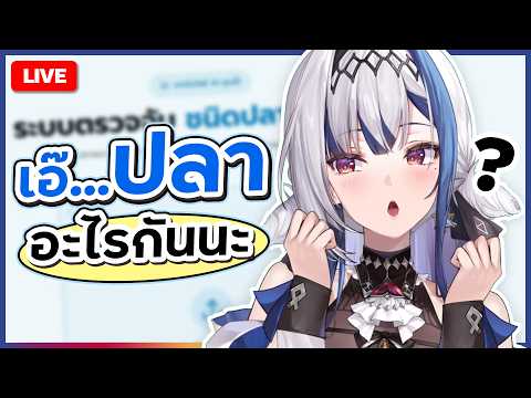 Chatting ✦ ดูซิมีปลาอะไรบ้าง | ZONA 🐳