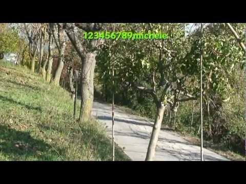 2  ronde del palladio 2011...parte9...p.s.2...selva di trissino