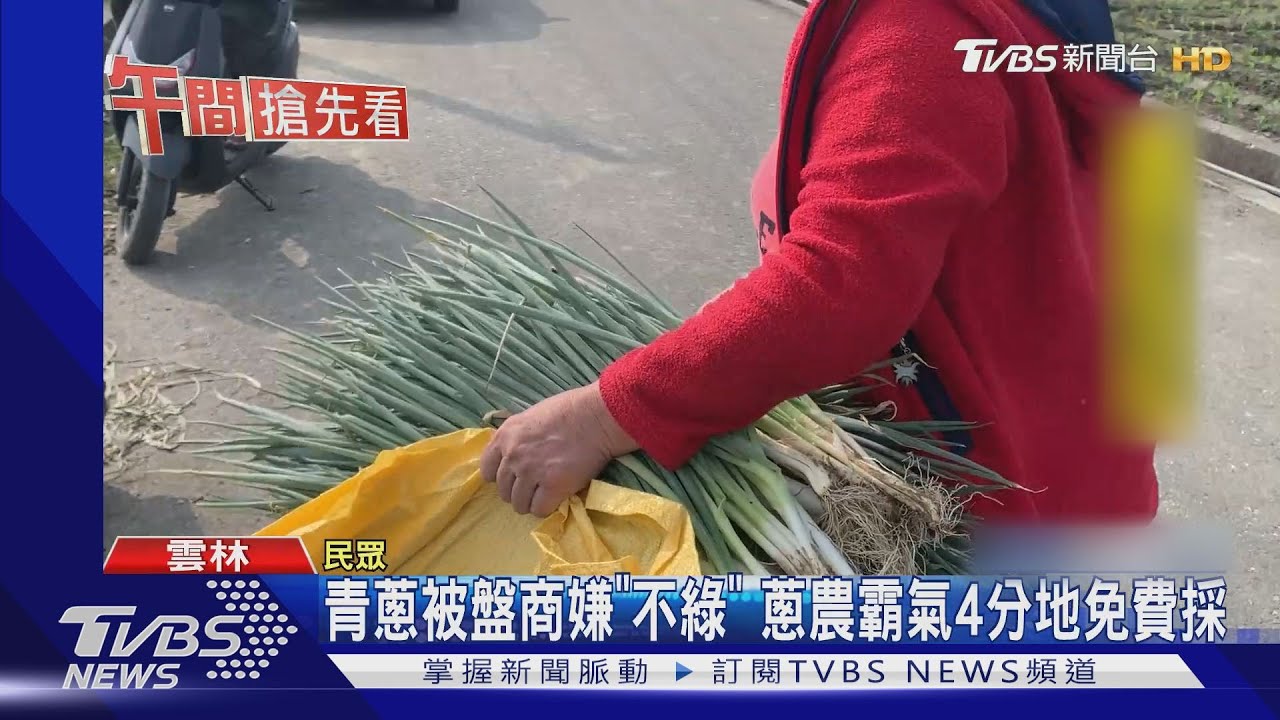 青蔥被盤商嫌「不綠」　蔥農霸氣4分地免費採