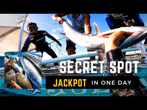 P1 | UMAAPAW NA BIYAYA W/@primitiveislander8676 #supportlocal #spearfishingphilippines