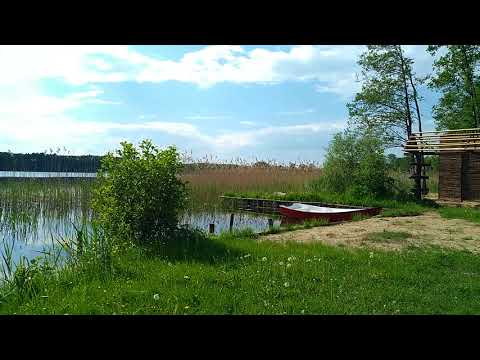 Karnity, jezioro Kocioł. Śpiew ptaków
