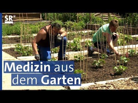 Die verborgenen Kräfte der Pflanzen - Gesundheit aus der Natur | Saar Natur