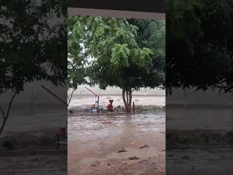 🇧🇷 SÍTIO BATATAS, MUNICÍPIO DE RIACHOS DOS CAVALOS, ALAGOAS, 13/02/2026 #chuvas #nordeste #sitio