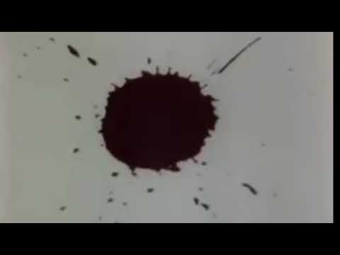 Redrum-Acid Disco(lysergic funk)