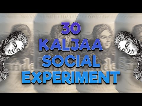 30 Beers experiment ( gone wrong ) . exe