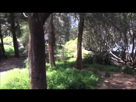 Rhino/Tapex Tips From The Field - 360 degree visibility year round