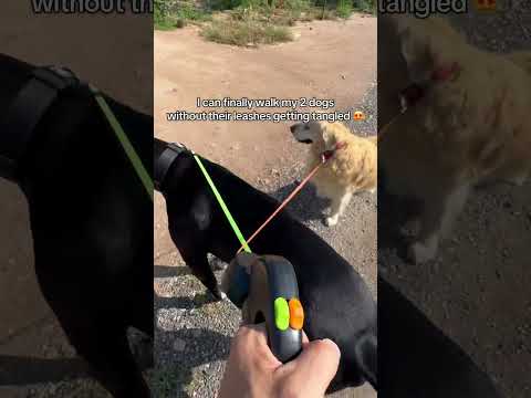 Whether you’ve got 2 dogs or not, this no-tangle double leash is for you 🫶🏼#DoubleLeash #twodogs