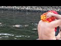 Sabarimala Pamba River Bathing Before Climbing To Aayappan Hill