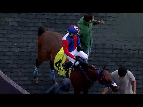 Gulfstreamentries