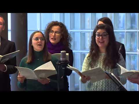 Frischer Wind - Halleluja