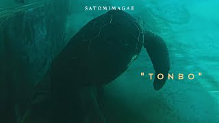 Satomimagae – Tonbo