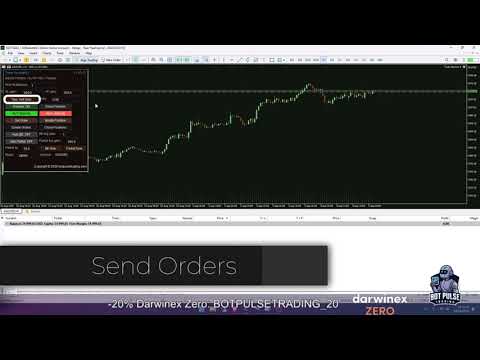 Video Trade Assistant X Light