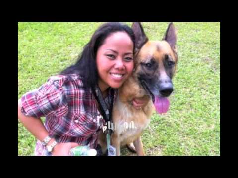 "Too Much Wine; Too Much Time; Too Much Talking to the Dog"