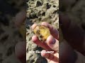 Iron Quartz On Filed Stone Minerals Like Gems Iron