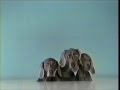 Sesame Street William Wegman Three Sliding Dogs